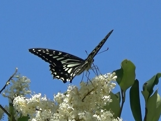 �`���E�`��