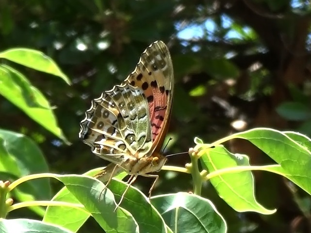 �`���E�`��