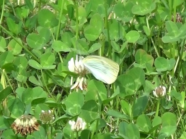 �`���E�`��