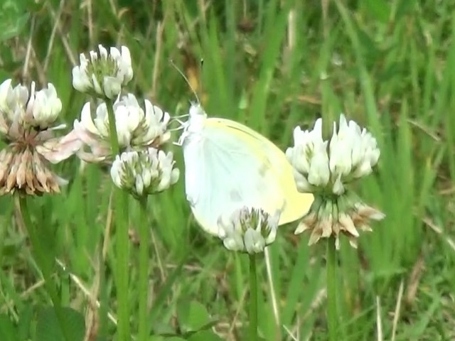 �`���E�`��