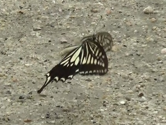 �`���E�`��