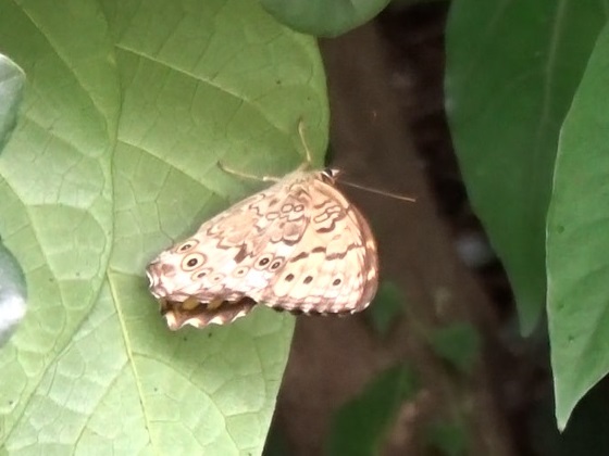 �`���E�`��