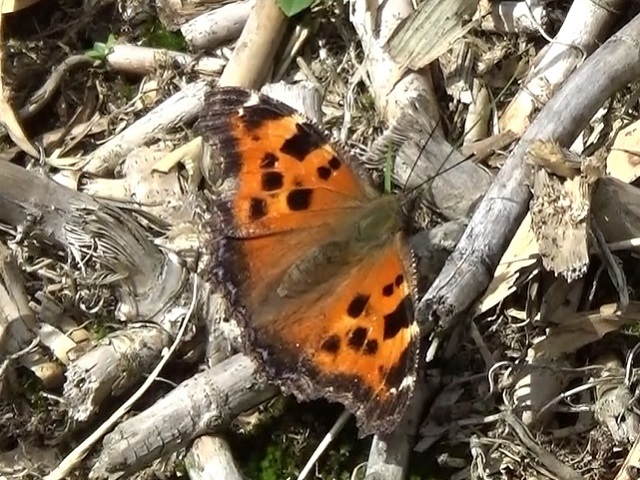 �`���E�`��