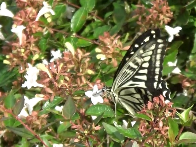 �`���E�`��