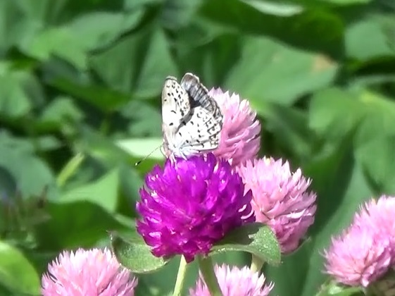 �`���E�`��