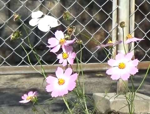 �`���E�`��