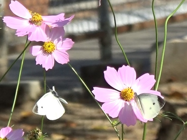 �`���E�`��