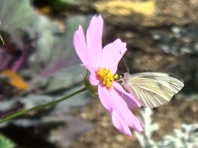 �`���E�`��