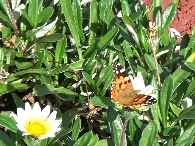 �`���E�`��