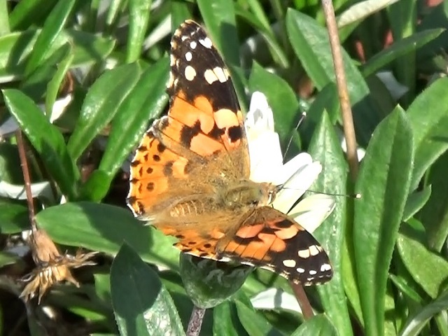 �`���E�`��