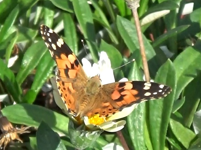 �`���E�`��