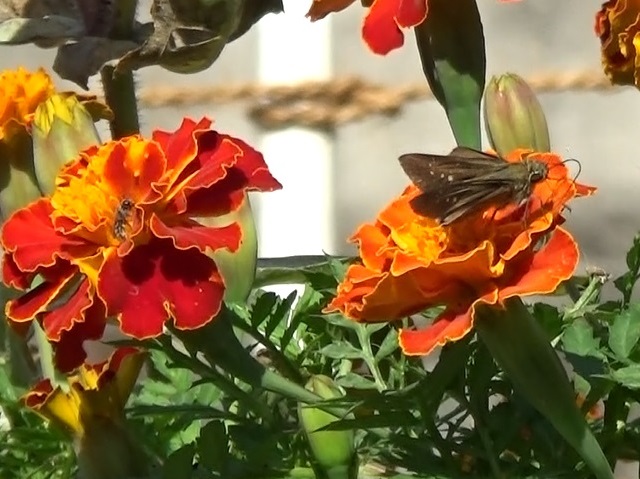 �`���E�`��