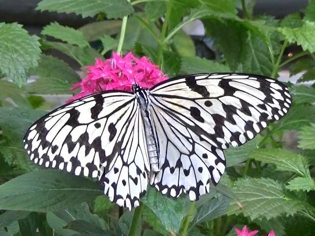 �`���E�`��