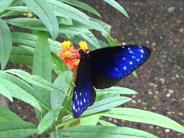 �`���E�`��