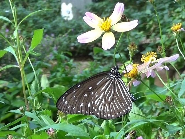 �`���E�`��