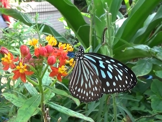 �`���E�`��