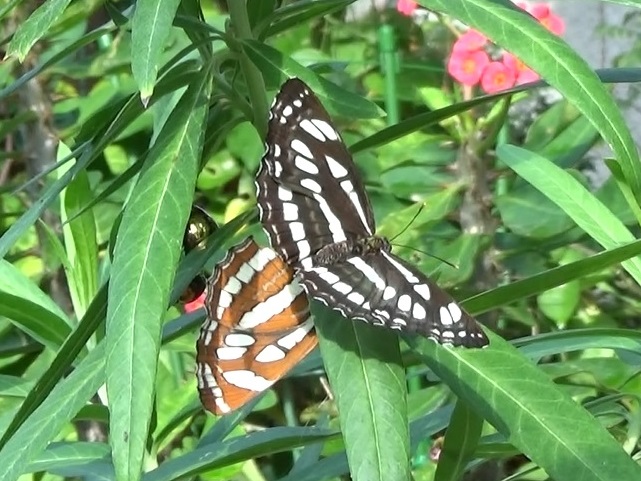 �`���E�`��