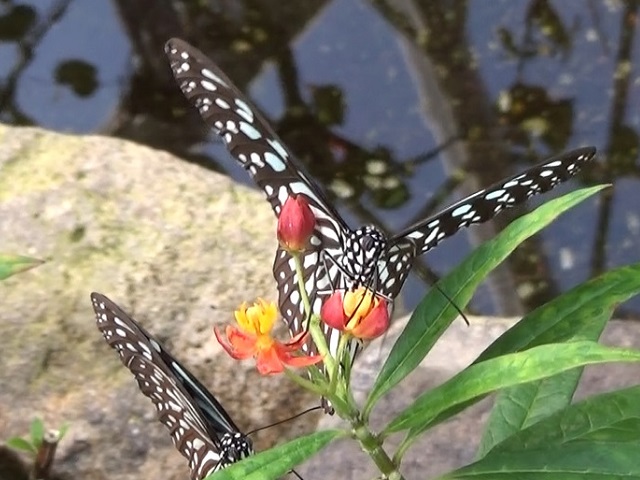 �`���E�`��