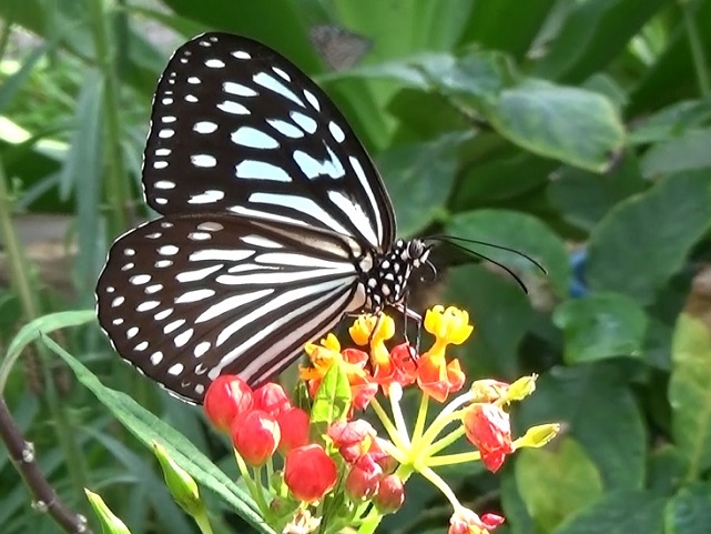 �`���E�`��