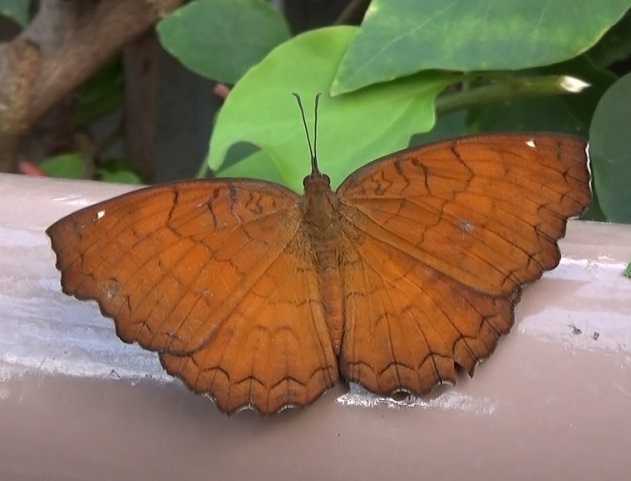 �`���E�`��