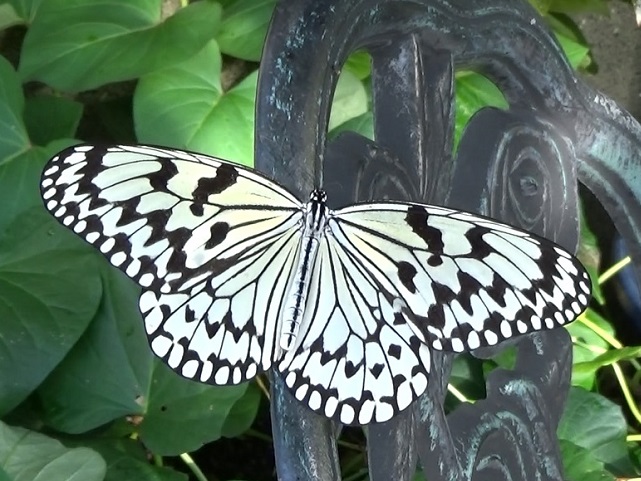 �`���E�`��