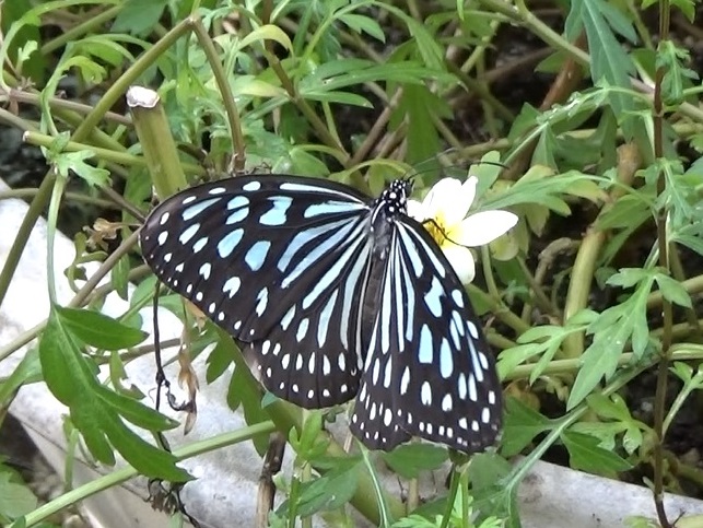 �`���E�`��