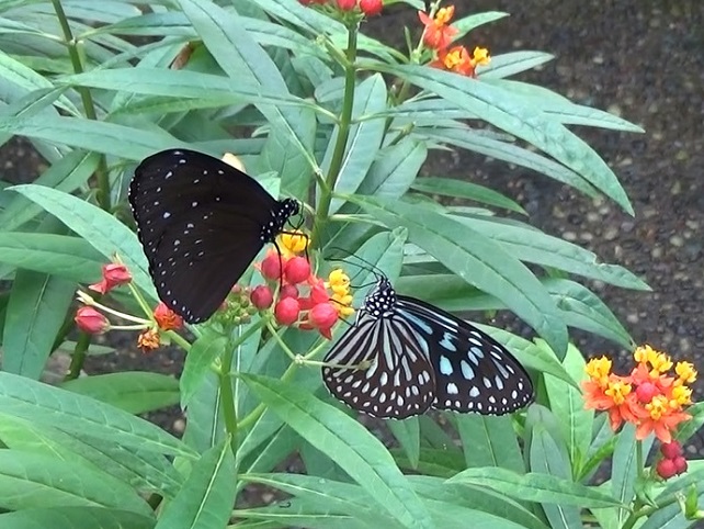 �`���E�`��