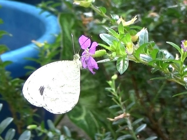 �`���E�`��