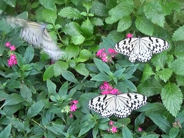 �`���E�`��