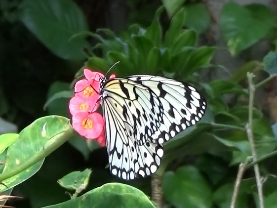 �`���E�`��