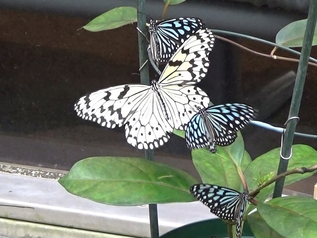 �`���E�`��