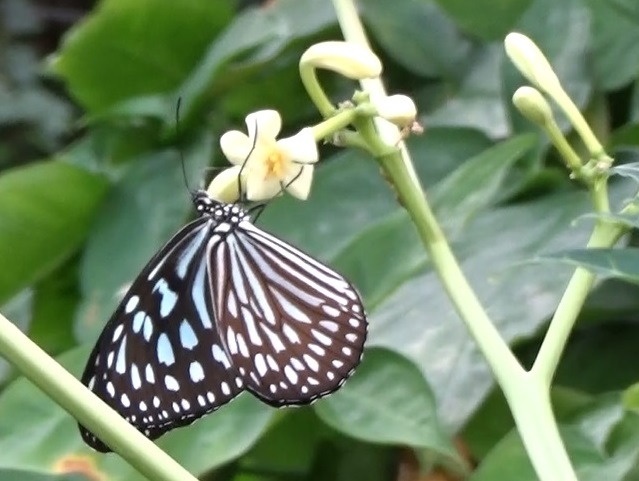 �`���E�`��