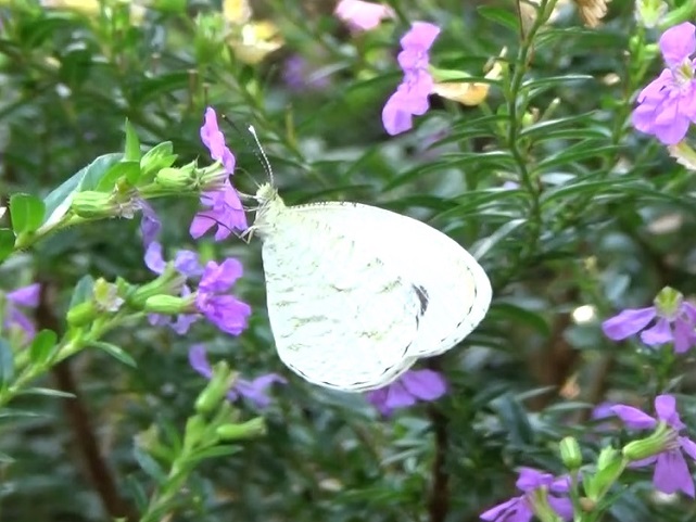 �`���E�`��