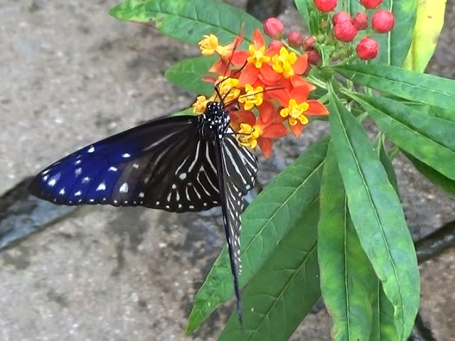 �`���E�`��