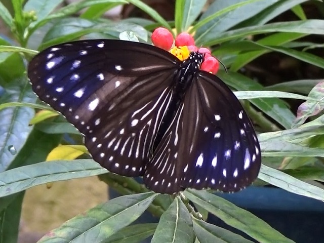 �`���E�`��