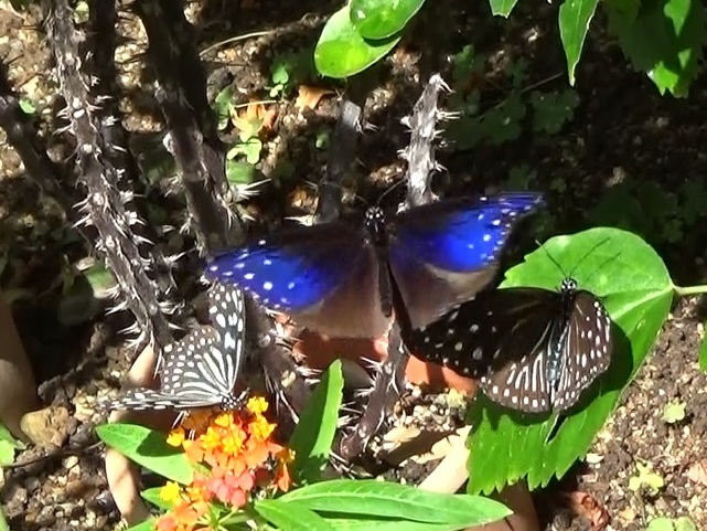 �`���E�`��