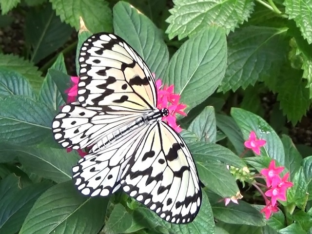 �`���E�`��