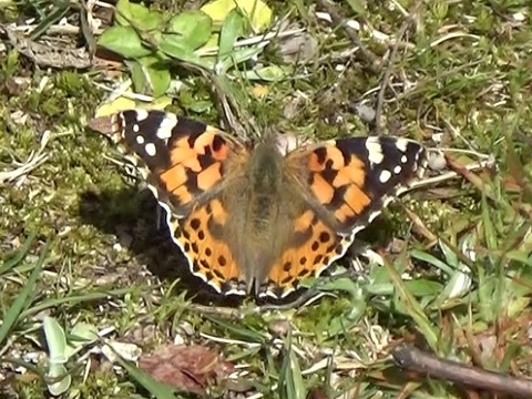 �`���E�`��