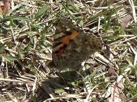 �`���E�`��