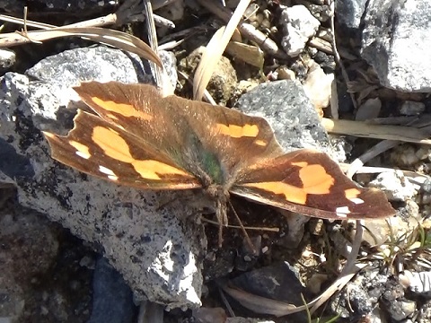 �`���E�`��