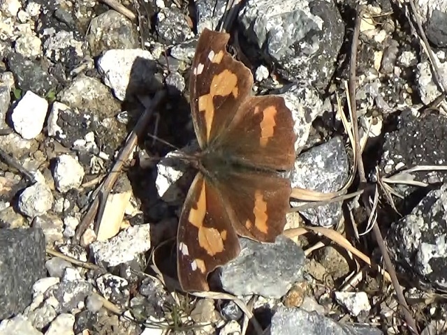 �`���E�`��