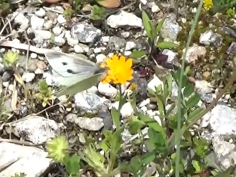 �`���E�`��