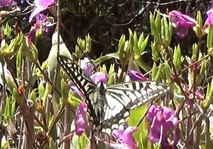 �`���E�`��