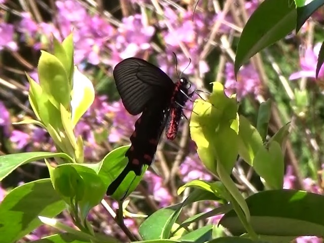 �`���E�`��