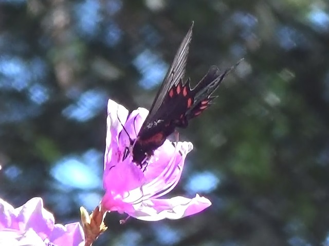 �`���E�`��