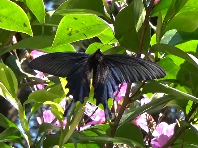 �`���E�`��