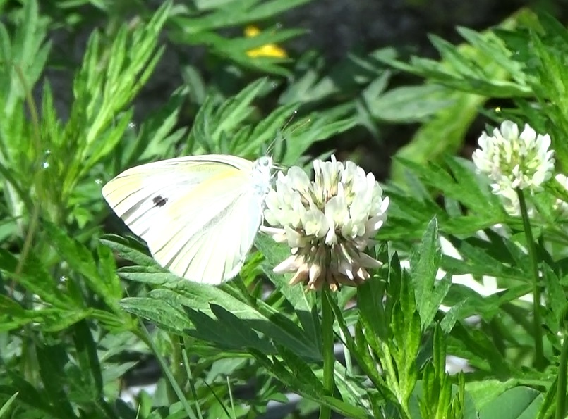 �`���E�`��