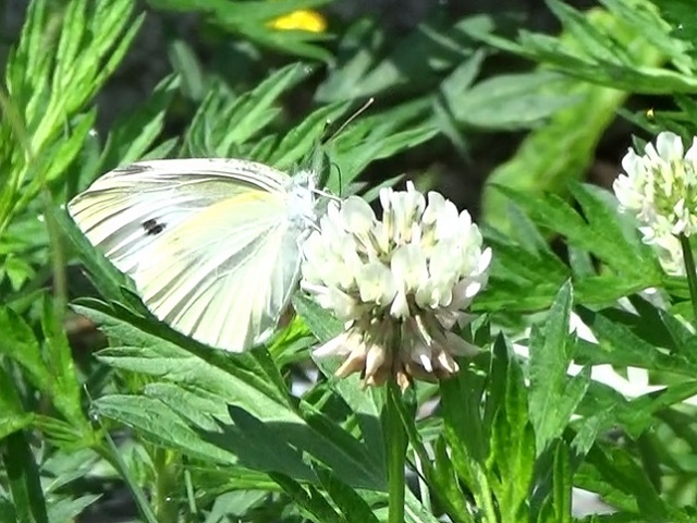 �`���E�`��