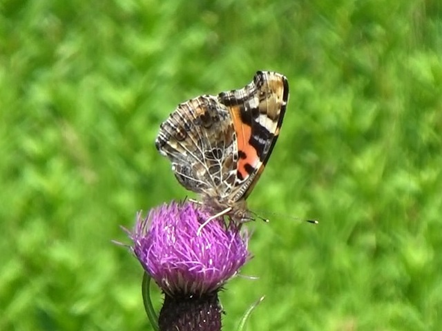 �`���E�`��