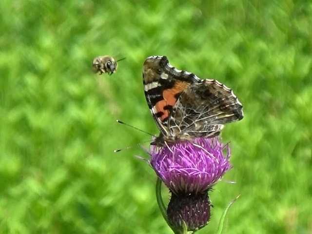 �`���E�`��